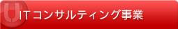 IT�R���T���e�B���O����