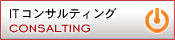IT�R���T���e�B���O